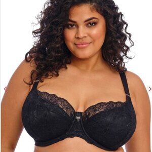 Elomi Brianna Lace Padded Half Cup Underwire Bra Black 40H